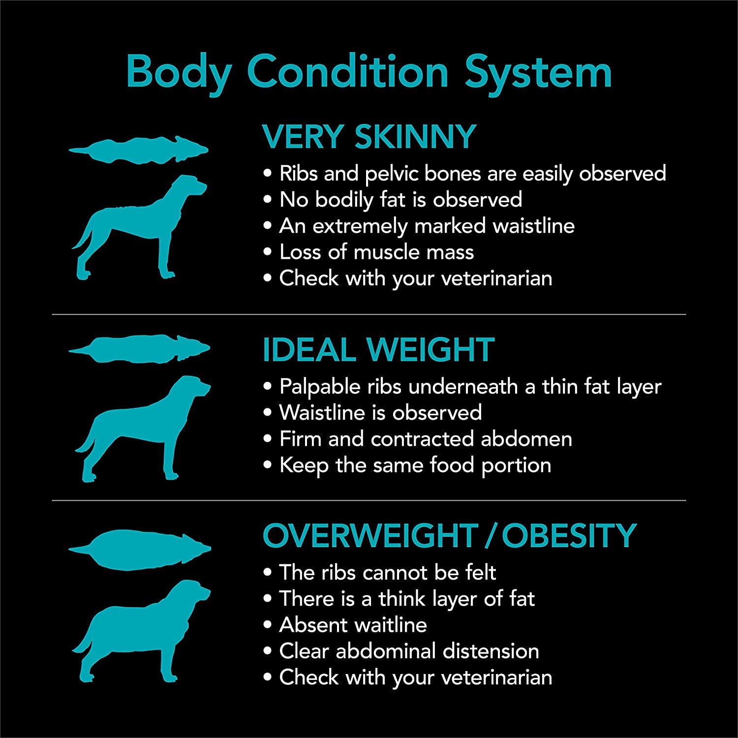 SMARTBLEND Adult Dry Dog Food Fish 15Kg